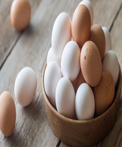 ماهیانه ۹۰ هزار تن تخم مرغ در کشور تولید می شود